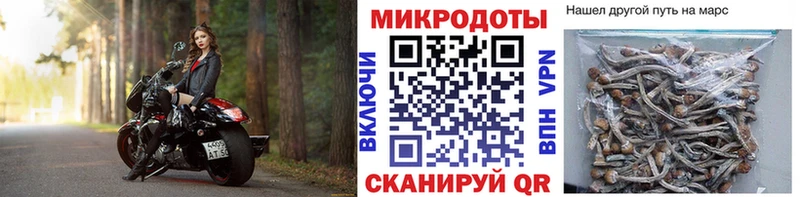 закладки  kraken ССЫЛКА  Галлюциногенные грибы прущие грибы  Петухово 
