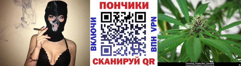 Каннабис ГИДРОПОН  магазин    Петухово 